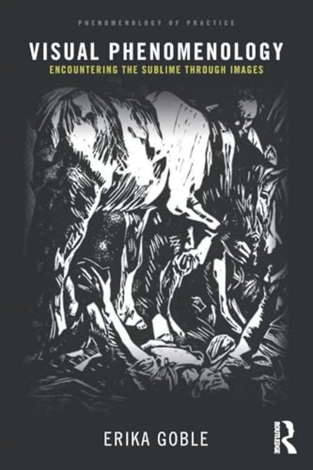 Visual Phenomenology