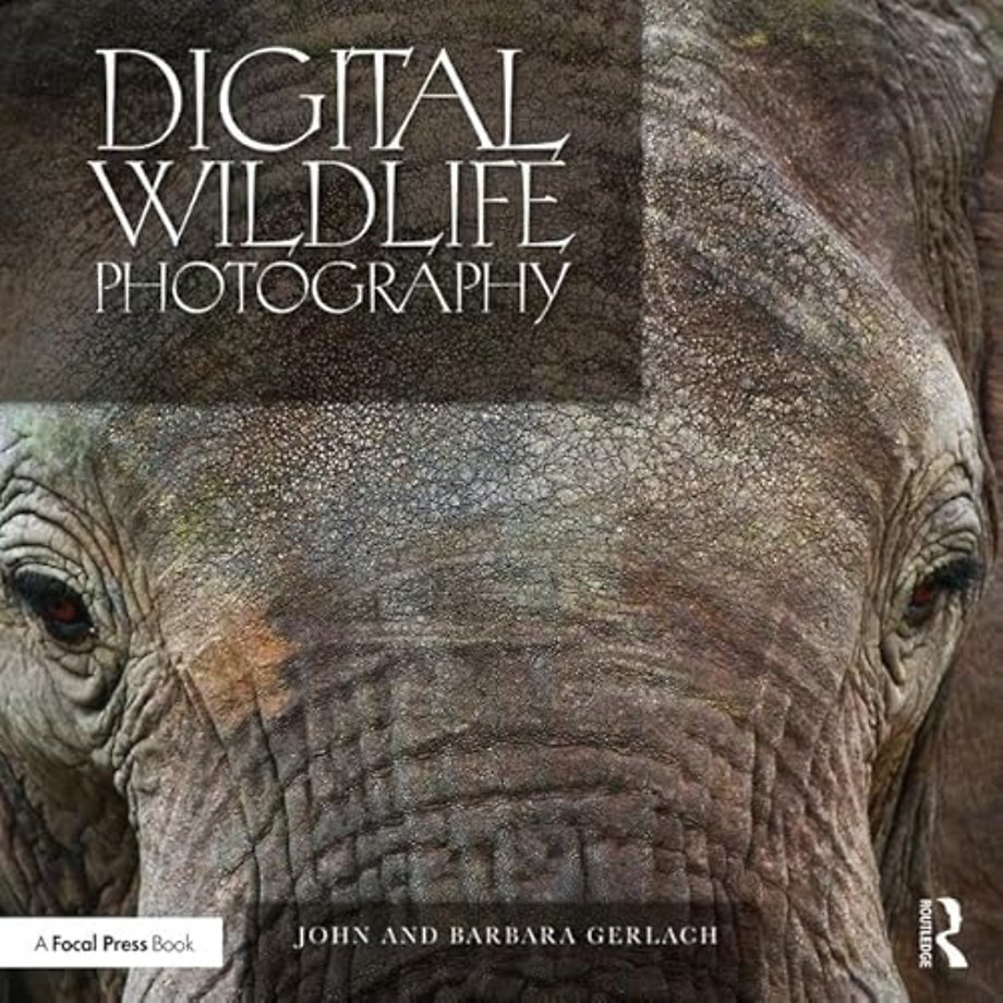 Digital Wildlife Photography