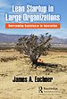 Lean Startup in Large Organizations