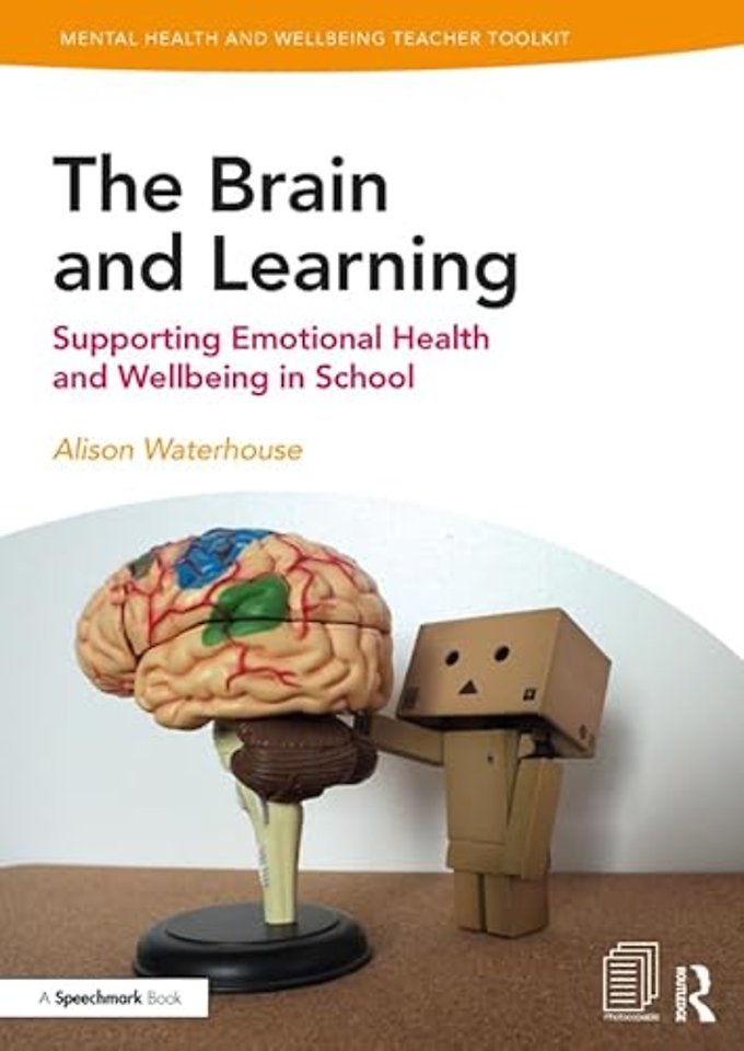 Brain and Learning