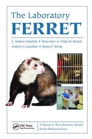 Laboratory Ferret