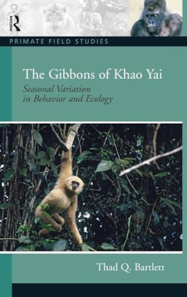 Gibbons of Khao Yai