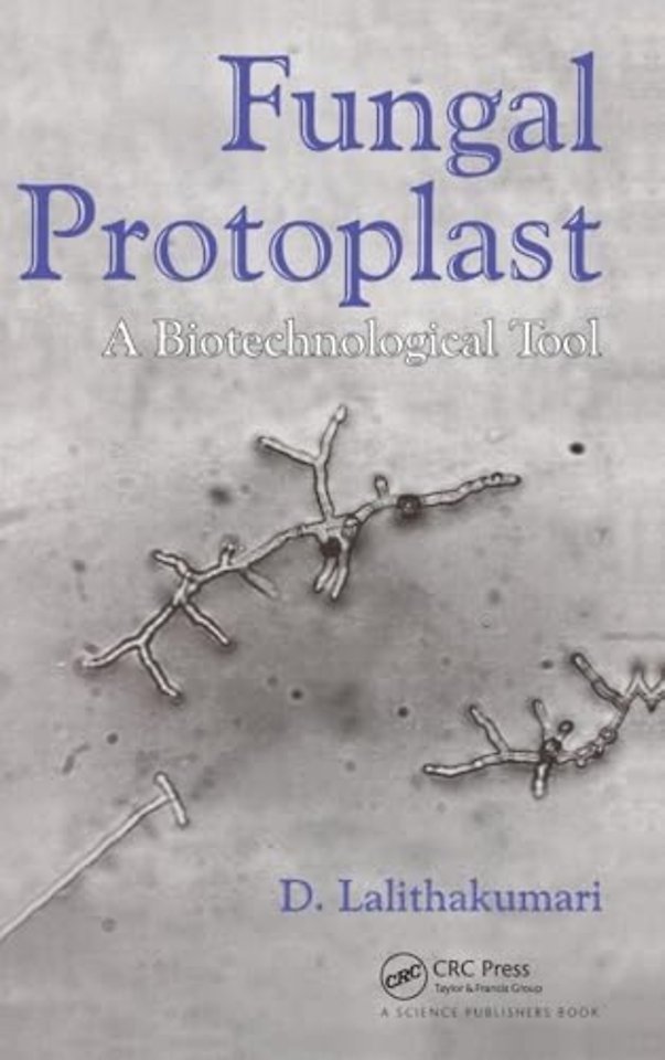 Fungal Protoplast