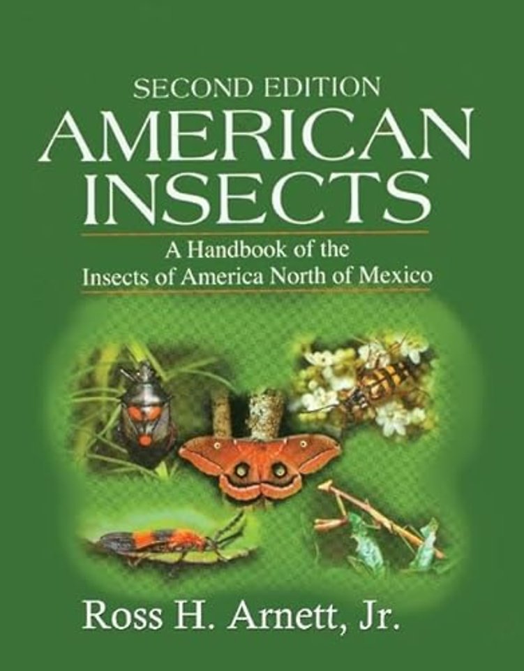 American Insects