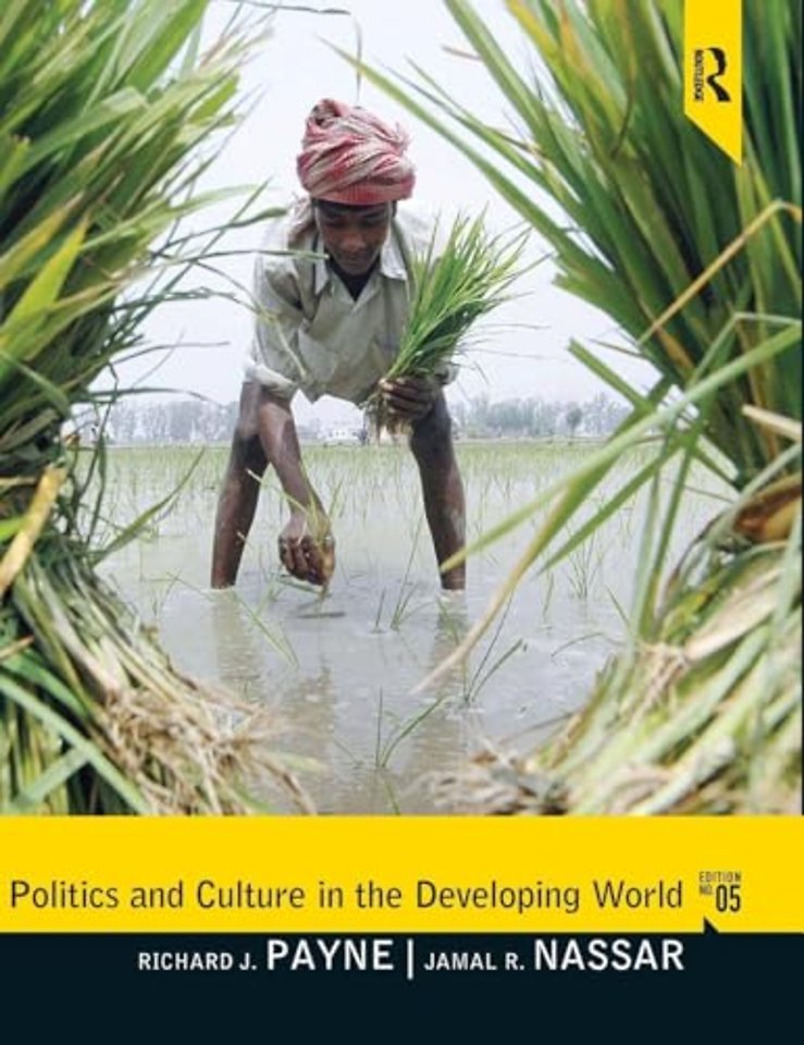 Politics and Culture in the Developing World