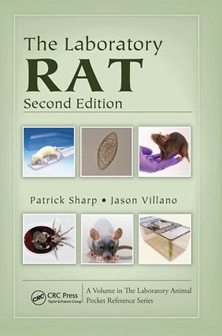 Laboratory Rat