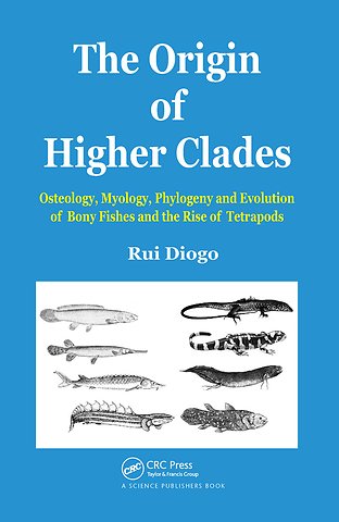 Origin of Higher Clades
