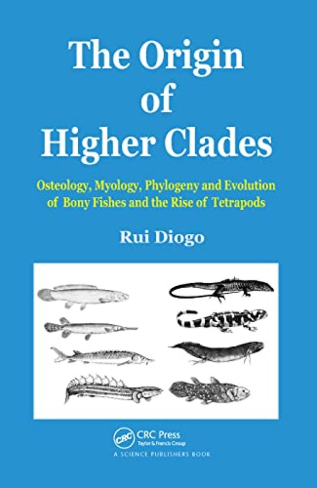 Origin of Higher Clades