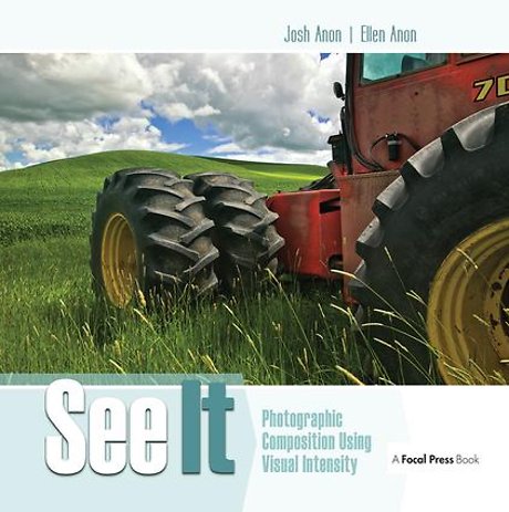 See It: Photographic Composition Using Visual Intensity