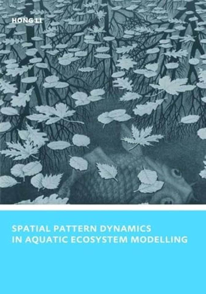 Spatial Pattern Dynamics in Aquatic Ecosystem Modelling