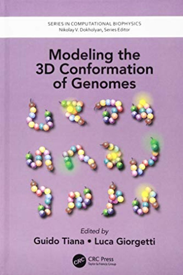 Modeling the 3D Conformation of Genomes