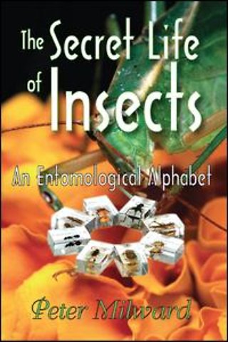 Secret Life of Insects