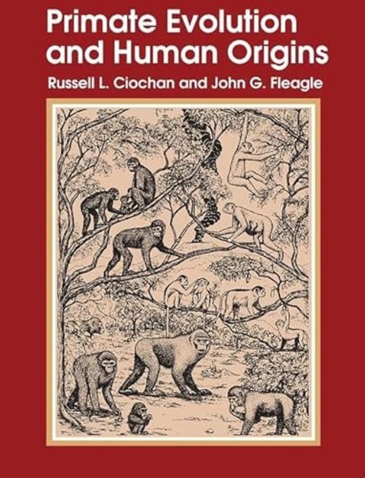 Primate Evolution and Human Origins