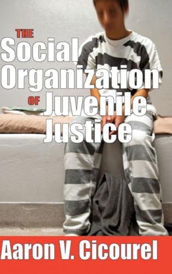 Social Organization of Juvenile Justice