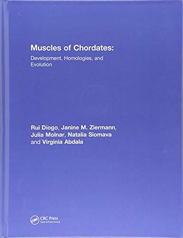 Muscles of Chordates