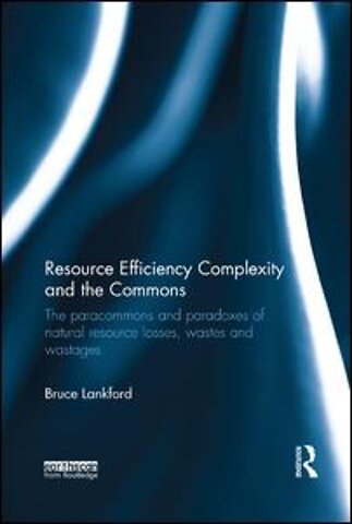 Resource Efficiency Complexity and the Commons