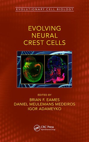 Evolving Neural Crest Cells
