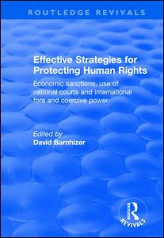 Effective Strategies for Protecting Human Rights