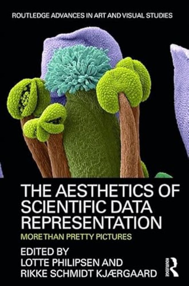 Aesthetics of Scientific Data Representation