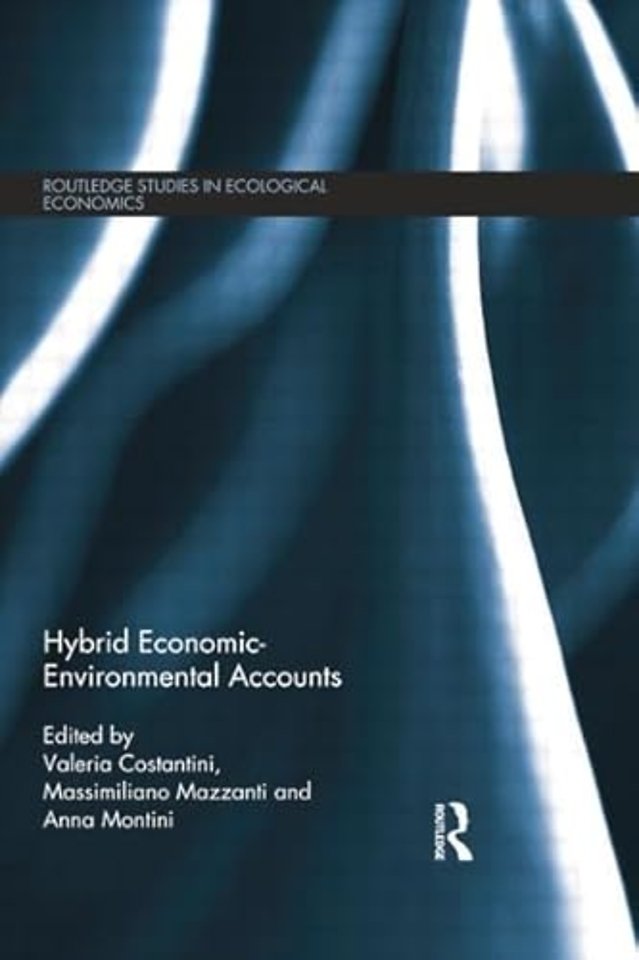 Hybrid Economic-Environmental Accounts