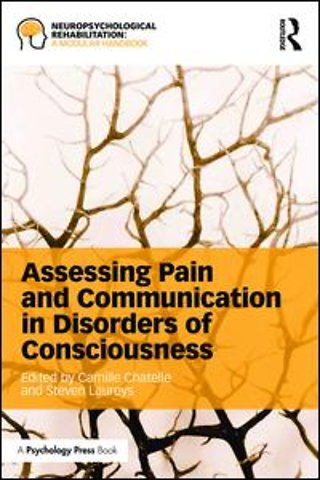 Assessing Pain and Communication in Disorders of Consciousness