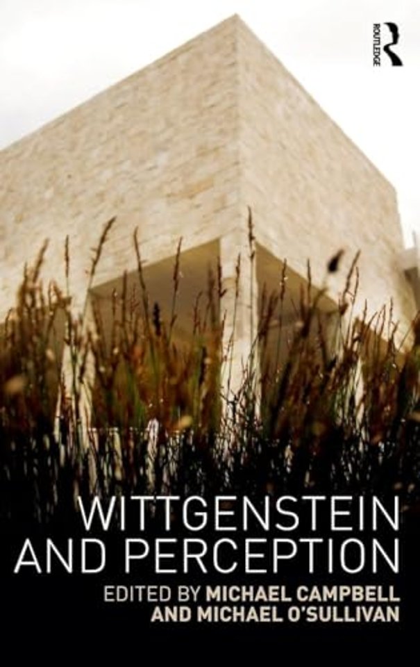Wittgenstein and Perception