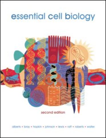 Risks of Medical Innovation