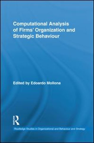 Computational Analysis of Firms' Organization and Strategic Behaviour