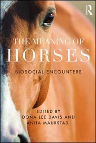 Meaning of Horses