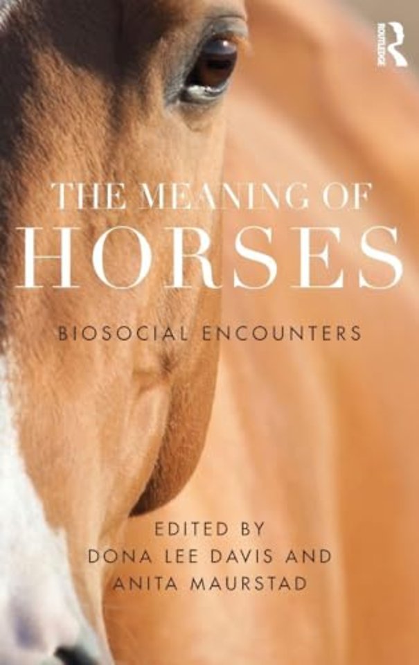 Meaning of Horses