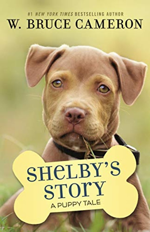 A Shelby's Story