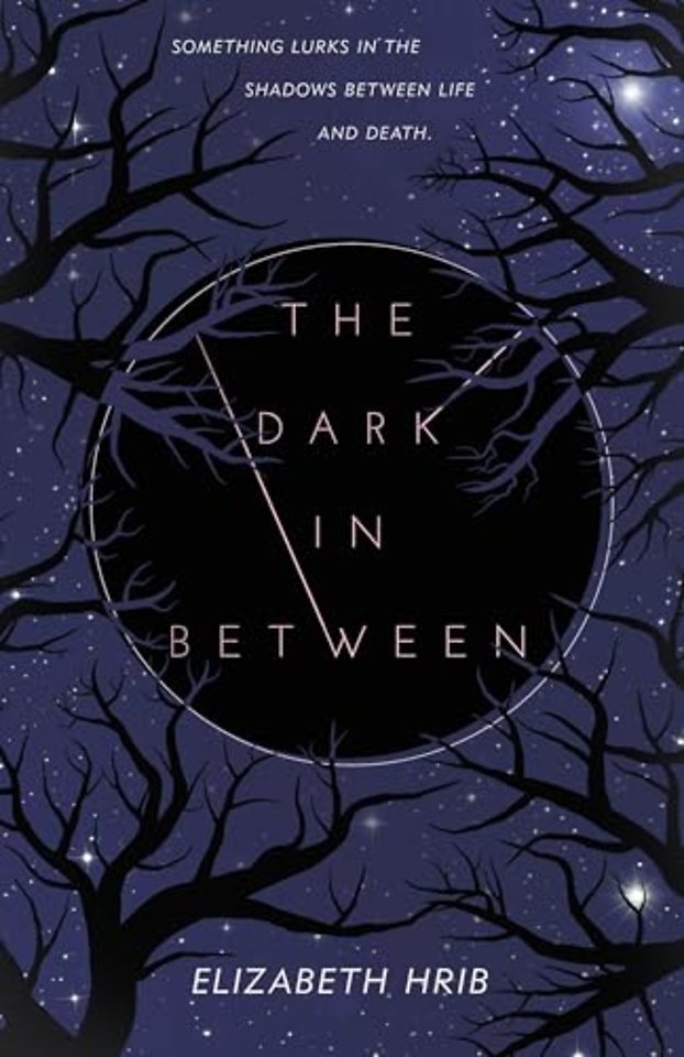 The Dark In-Between