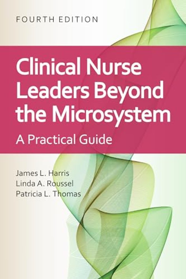 Clinical Nurse Leaders Beyond the Microsystem – A Practical Guide