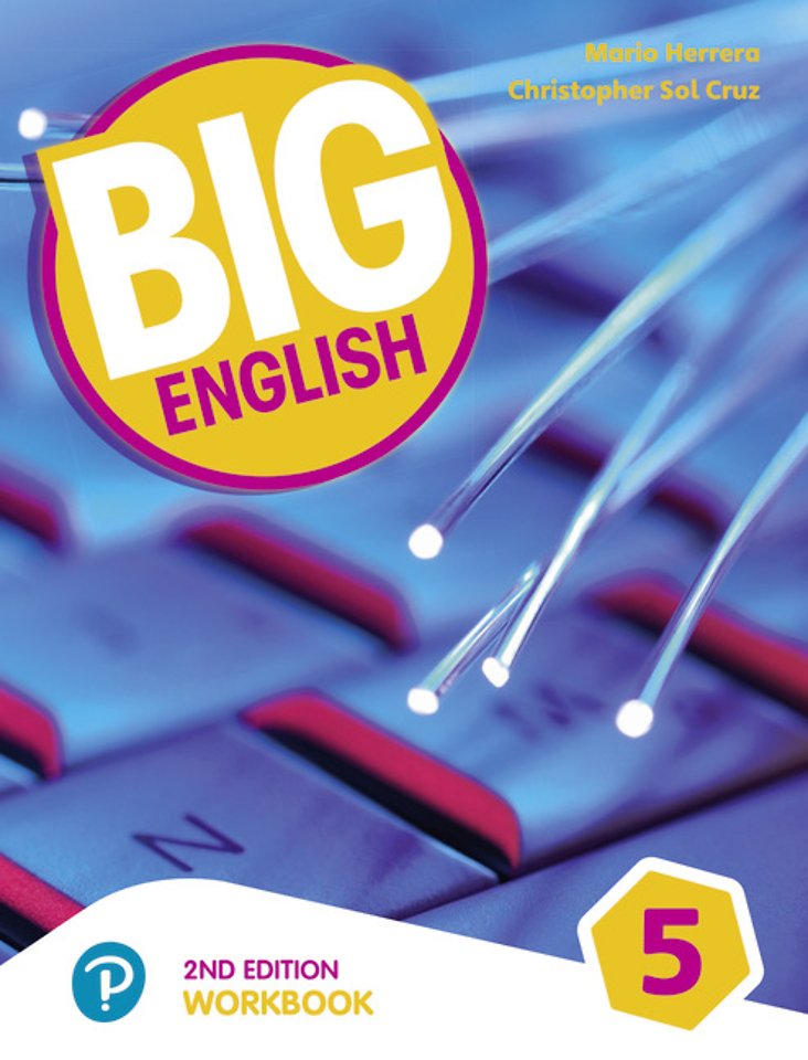 Big English AmE 2nd Edition 5 Workbook with Audio CD Pack