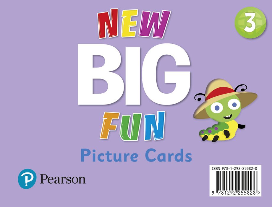 New Big Fun - (AE) - 2nd Edition (2019) - Picture Cards - Level 3