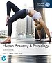 Human Anatomy & Physiology, Global Edition Human Anatomy & Physiology, Global Edition