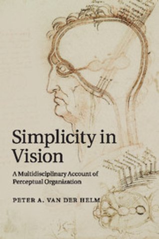 Simplicity in Vision
