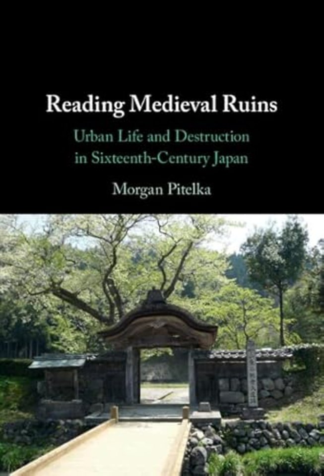 Reading Medieval Ruins