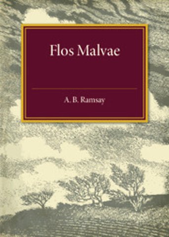 Flos Malvae