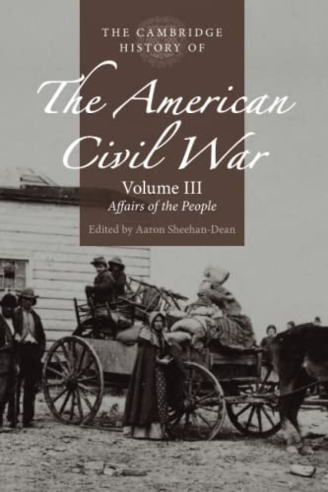 The Cambridge History of the American Civil War: Volume 3, Affairs of the People