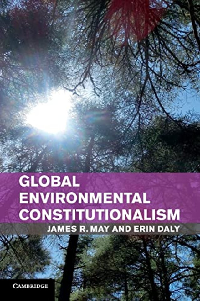 Global Environmental Constitutionalism