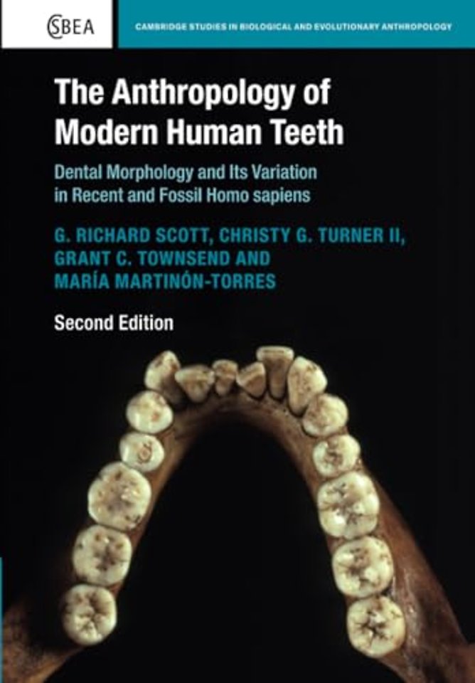 The Anthropology of Modern Human Teeth