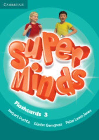 Super Minds Level 3 Flashcards (Pack of 83)