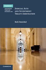 Judicial Acts and Investment Treaty Arbitration