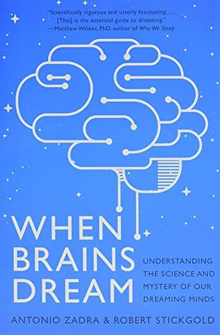 When Brains Dream – Understanding the Science and Mystery of Our Dreaming Minds