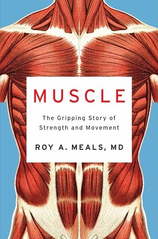 Muscle