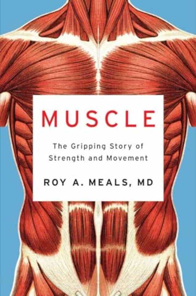 Muscle