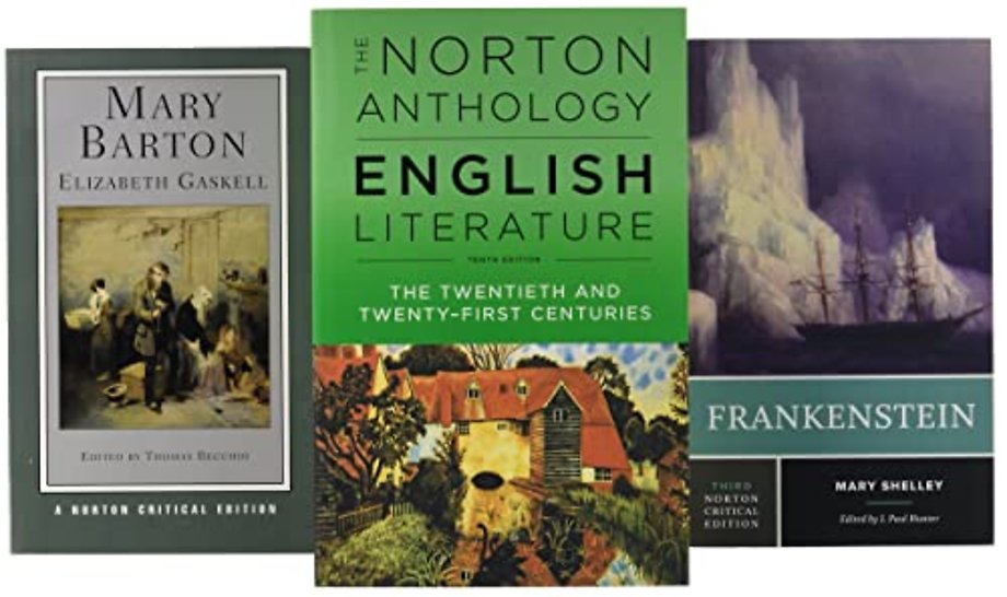 N A E 10e Core Sel Ebf + N A E 10e Vol F 20th Cent Pa+      Frankenstein Nce 3e Pa + Mary Barton Nce Pa
