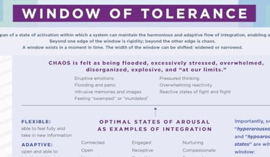 Window of Tolerance Laminated Card