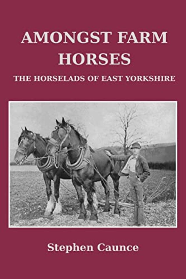 Amongst Farm Horses